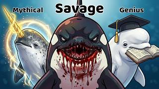 Every Whale Explained in 30 Minutes