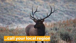 Be Sure You Have Your Hunting Permit