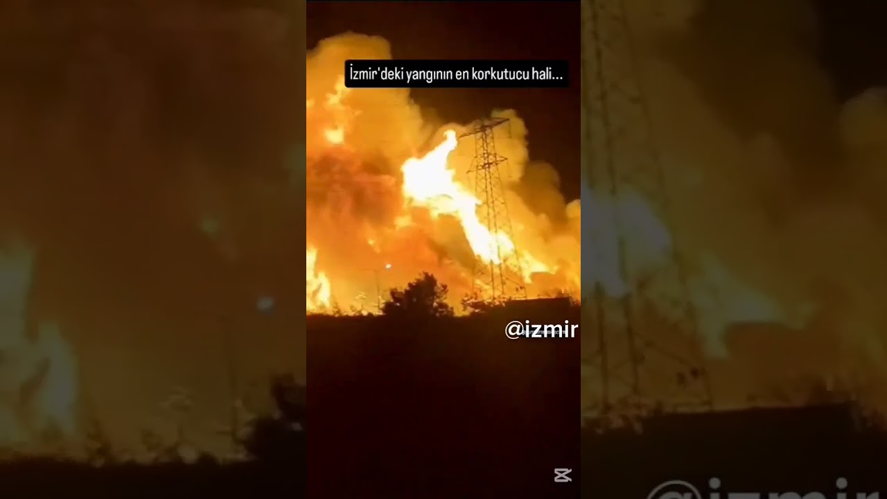 Forest fire in Izmir, Turkey, sparked by dump blaze; suspect arrested, say authorities