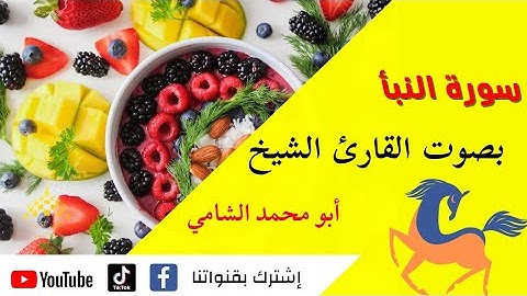 سورة النبأ مكتوبة بصوت القارئ الشيخ (أبو محمد الشامي) للحفظ