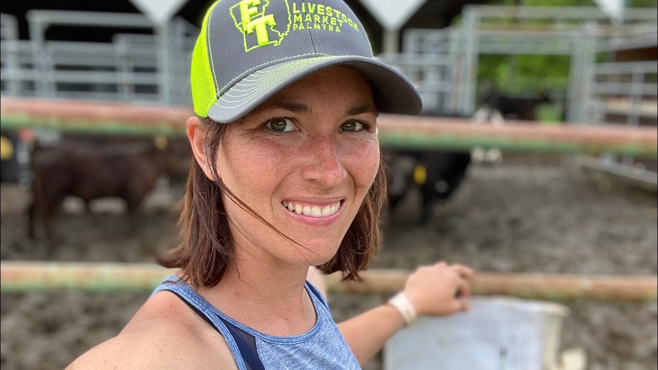 Vlog 71: Wrangling Cattle Up (Breeding Season Starts! Part 1)