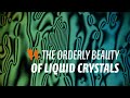 The orderly beauty of liquid crystals