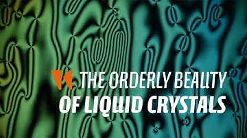 The orderly beauty of liquid crystals