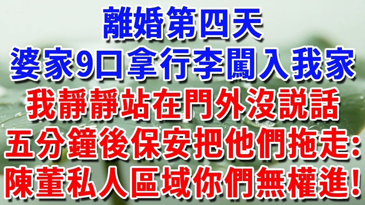 離婚第4天，婆家9口人拿着行李闖入我家，我靜靜站在門外沒説話，五分鐘後保安把他們拖出大門：陳董私人區域你們無權進入！#一帆說故事 #為人處世 #生活經驗 #情感 #故事 #彩礼#深夜淺讀