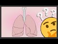 Así funcionan tus pulmones! - explicación sencilla