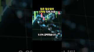 검은 월요일이 시작된 진짜 이유 (이슈딸깍)