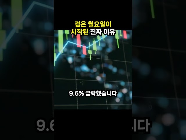 검은 월요일이 시작된 진짜 이유 (이슈딸깍)