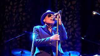 Van Morrison - Utrecht -- WILD NIGHT -- TivoliVredenburg - 1 may 2024