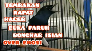 tembakan rapat kacer buka paruh, bongkar isian