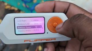 Updated Fliipper Zero Wrgb Mod.