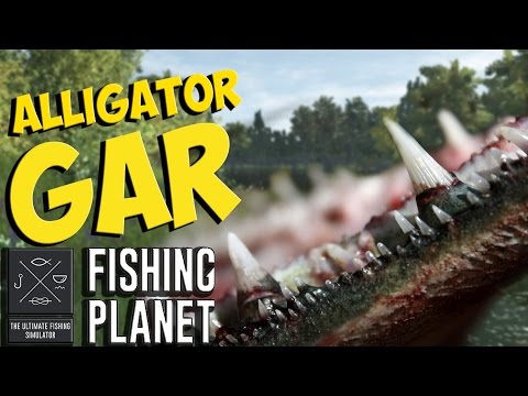 Video: Alligator pike - raksasa prasejarah dan trofi unik