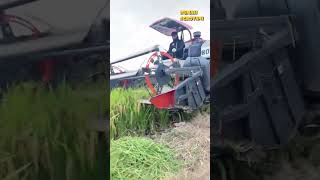 Tidak Butuh Waktu Lama Hanya 2 Jam Satu Hektar Panen Padi Dengan Mesin Panen Padi Modern Ini