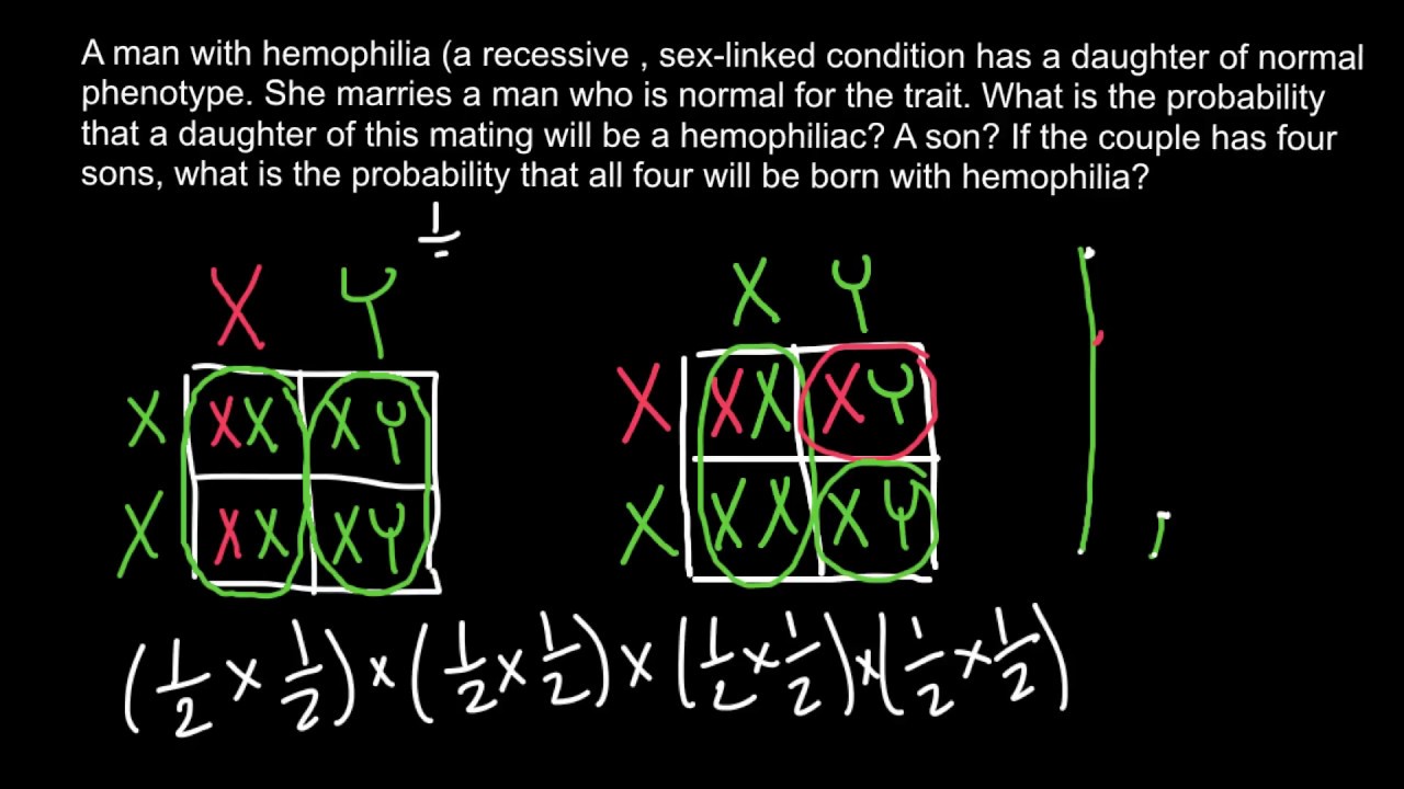 Hemophilia Probability Problem And Solution 