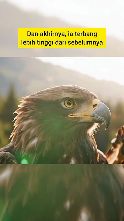 injured eagle
