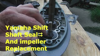 Yamaha Outboard Shift Shaft Seal And Water Impeller Replacement-Step-by-Step!