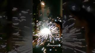 My pets also enjoying diwali festival ️(laddu Don)