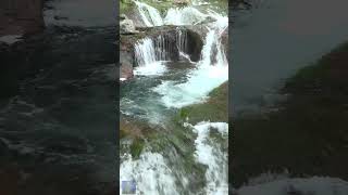 OKオシドリ隠しの滝 #shorts