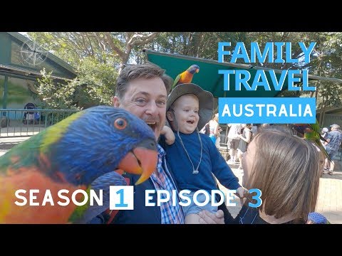 THE BEST GOLD COAST FAMILY DAY | Currumbin Wildlife Sanctuary | Family Travel Australia Series EP 3