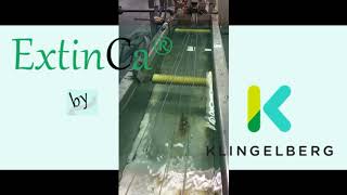 ExtinCa® by Klingelberg: ExtinCa® master batch on the run Net Worth