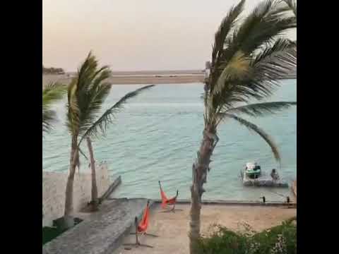 ماعاد بدري محمد عبده
