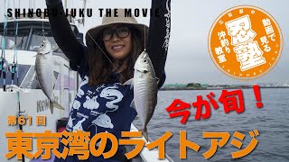 【初版】東京湾の釣り場　富津〜東京港〜久里浜/ひかりのくに 東京湾～相模湾 電車で行ける釣り場ガイド40 アジ、イワシ