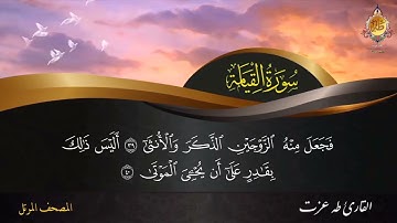 سورة القيامة كاملة | القارئ / طه عزت | تلاوة خاشعة مبكية