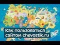 Как пользоваться сайтом chevostik.ru