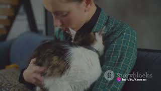 Meet Mr. Whiskers The Cat That Will Steal Your Heart