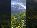 Nepal might be small in size, but the country is a powerhouse of natural beauty, adventure, culture