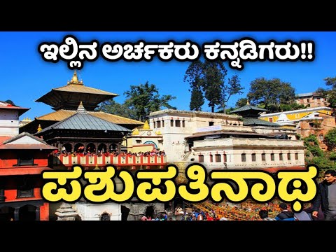 Pashupatinath | Pashupathinatha Temple | ಪಶುಪತಿನಾಥ ದೇವಾಲಯ ಕಾಟ್ಮಂಡು | Katmandu | ನೇಪಾಳ | Nepal |