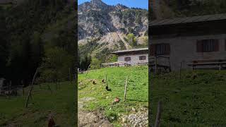 Chiemgau Staudacher Alm