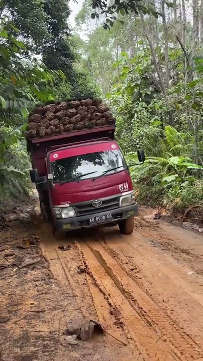 mobil truk muatan sawit hampir oleng #automobile #mobiltruk #truksawitoleng #soundviral