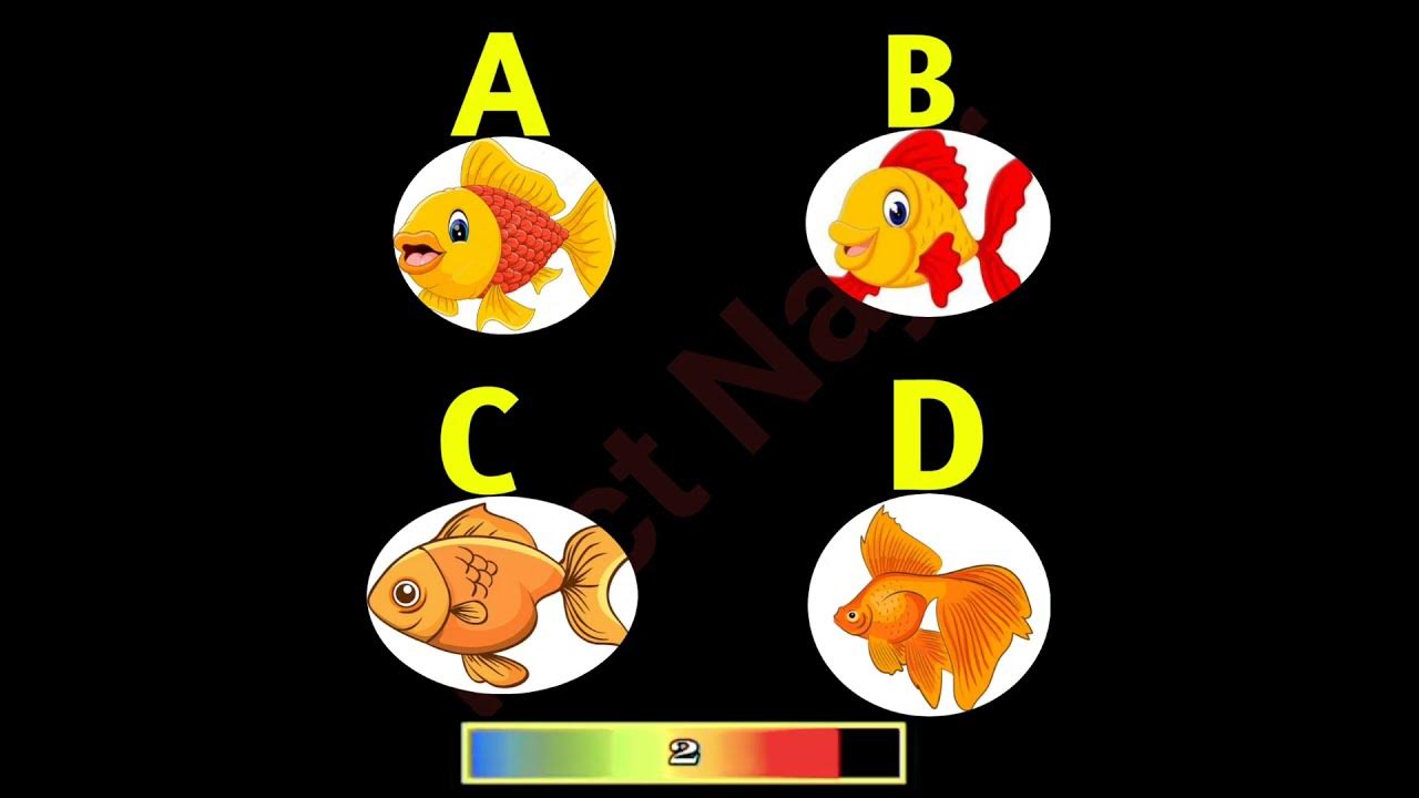 memory-test-chellenge-video-guess-riddles-shorts-viral-pheliyan
