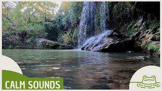 Full Insight Meditation 🧘 Peaceful Music for Clarity & Inner Peace (5 Min)