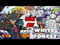 White Forest Synchron Deck Out White Forest Full Combo Power [ Yu-Gi-Oh! Master Duel ]