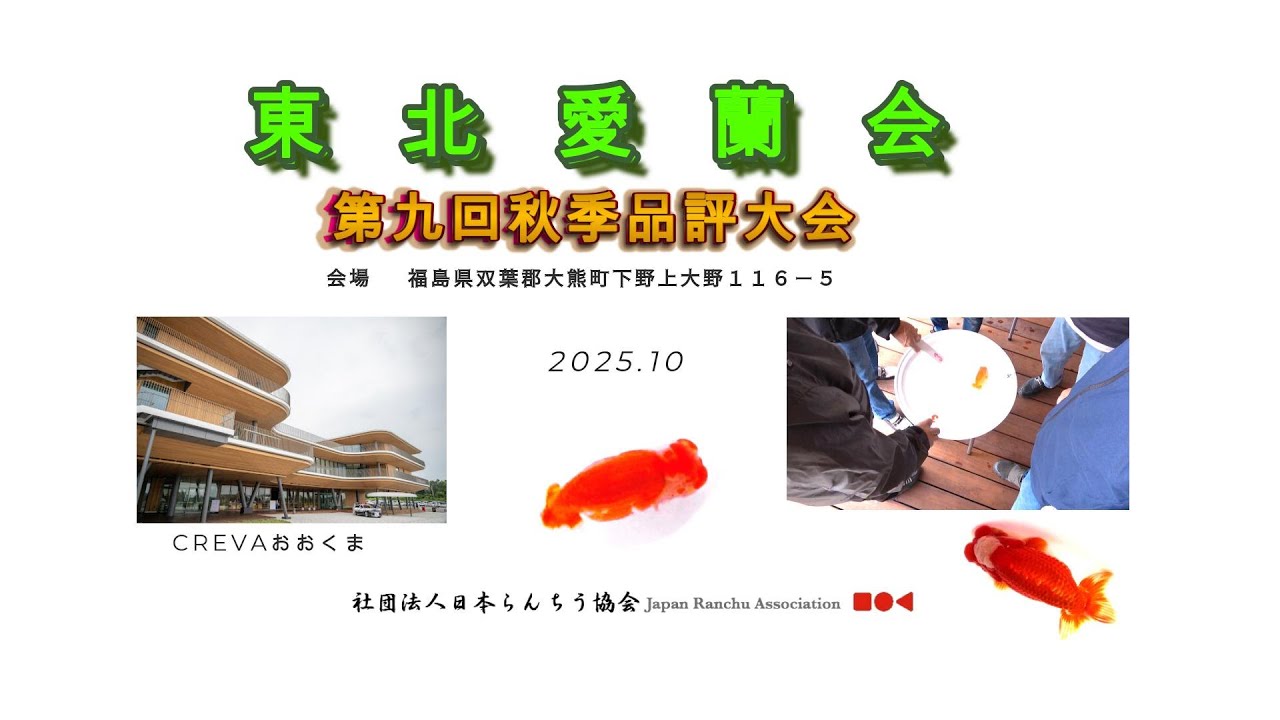 【4Ｋ】2025東北愛蘭会　秋季品評大会