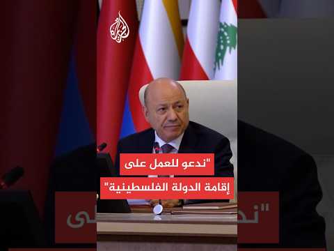 رئيس مجلس القيادة الرئاسي في اليمن: نؤكد تمسكنا بخيار السلام لإنهاء الاحتلال الإسرائيلي