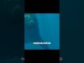 Ghosts of ancient oceans #mosasaurs #dinosaur