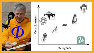 Are Brain Organoids Conscious? AI? Christof Koch on Consciousness vs. Intelligence in IIT [Clip 4]