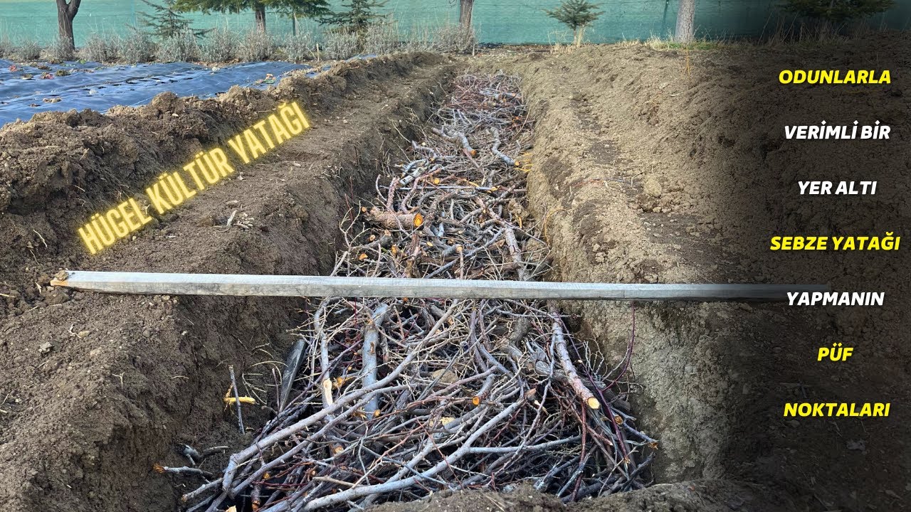 Daha Az Sulama Ile Daha Sağlıklı Bitkiler Yetiştirme Sırları !