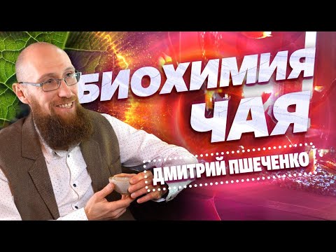 Биохимия чая. Дмитрий Пшеченко-биохимик.