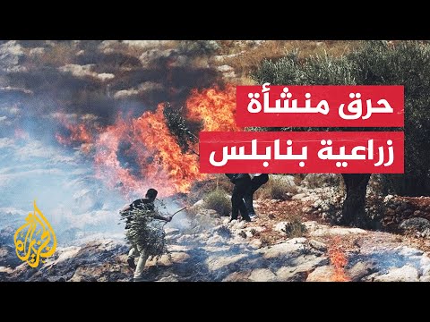 الضفة الغربية.. مستوطنون يحرقون منشأة زراعية في مجدل بني فاضل جنوب نابلس