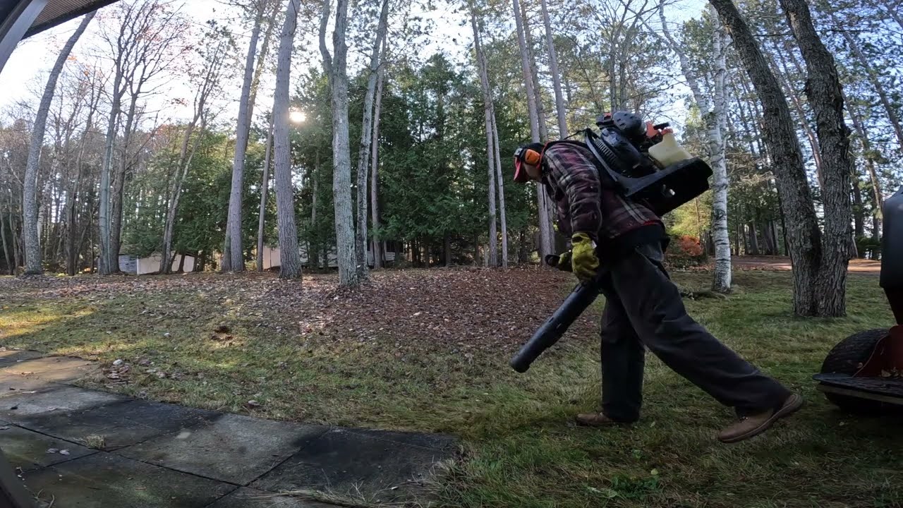 Extensive leaf cleaning was done easily  Walker and Ferris FB2000 lawn mower