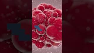 The first cancer causing virus was discovered in which animal? Fact-checking episode 9