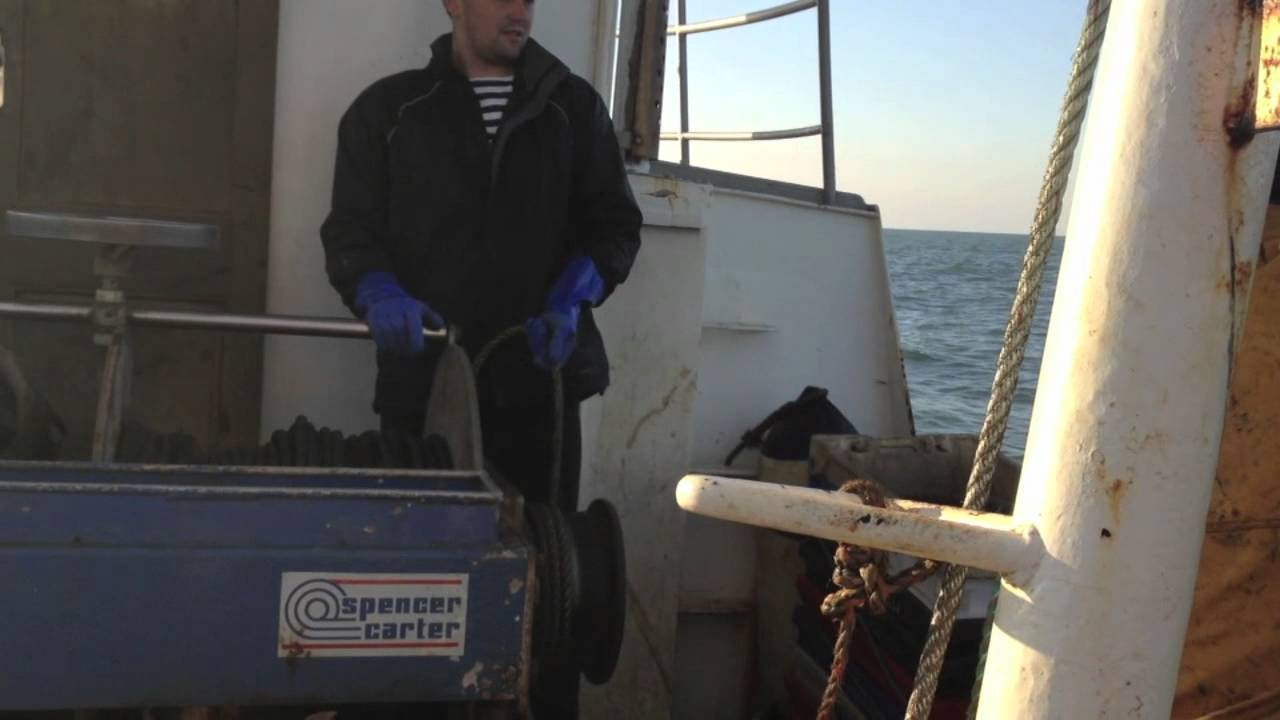 Scallop fishing YouTube