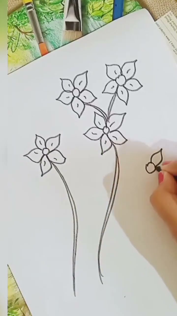 Jasmine Flower Drawing Images - Free Download on Freepik