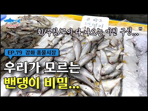 (강화) "밴댕이 소갈딱지라고요...? 구성 보면 놀랄걸요?!?" / 우리가 모르는 '밴댕이'의 비밀...