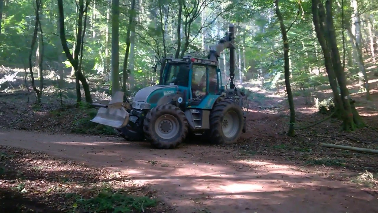 Holztraktor Pm trac beim fichtenholz rücken