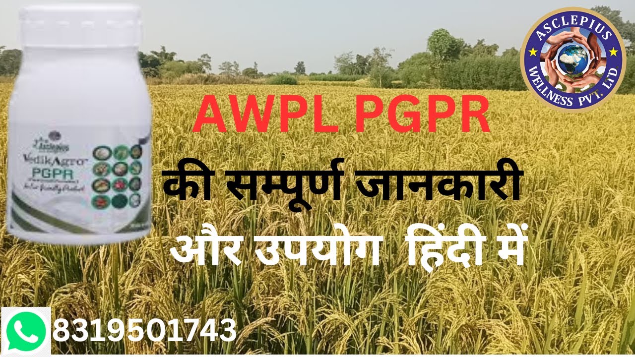 awpl agriculture product :' pgpr awpl full details in hindi / pgpr awpl ...