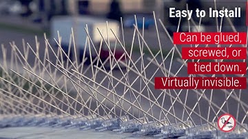 Stainless Steel Bird Spikes [Effectively Stops Pigeons, Seagulls & More!]